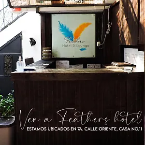 Feathers & Lounge 2* Antigua